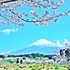 必要火急の風景 ～富士＆桜～