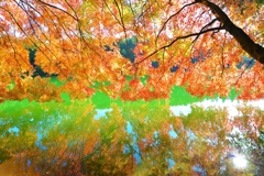 鏡面の秋景 ～南伊奈ケ湖～ 其の弐