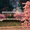 早春の風景 ～下賀茂温泉～