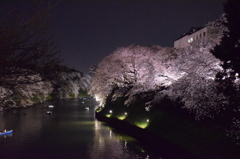 千鳥ヶ淵の夜