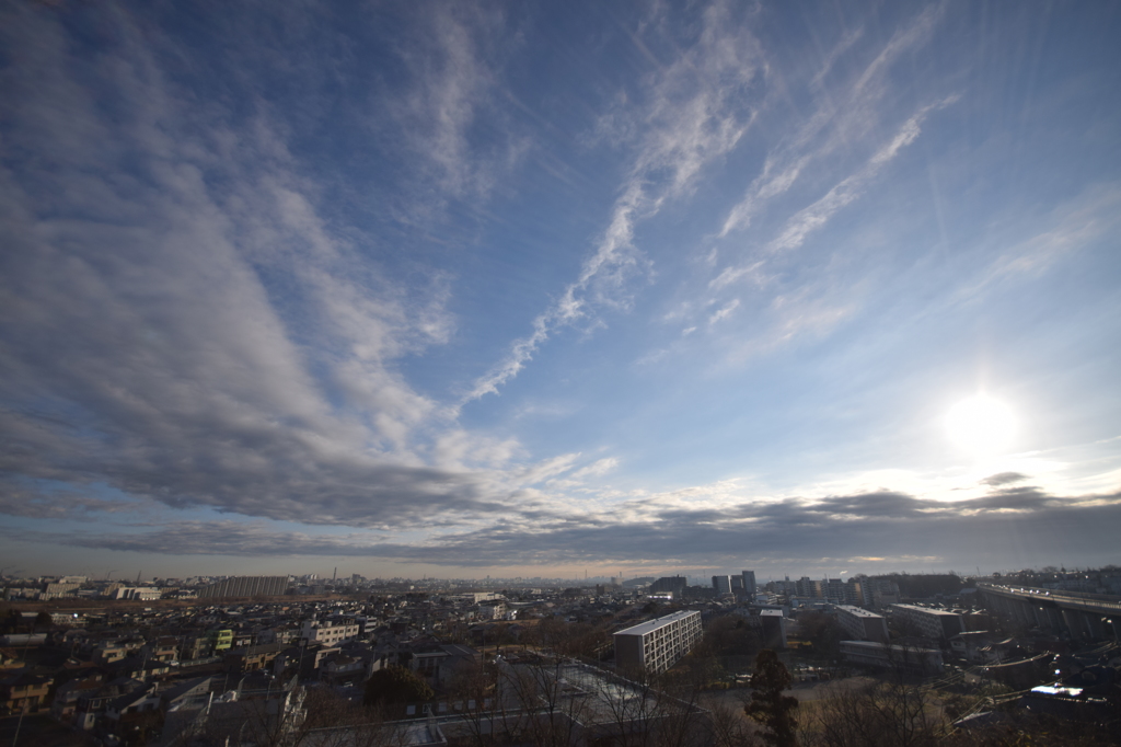  morning light