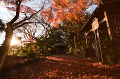 神社の夕方