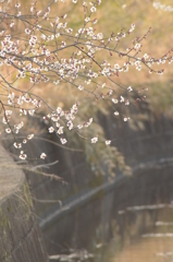用水路