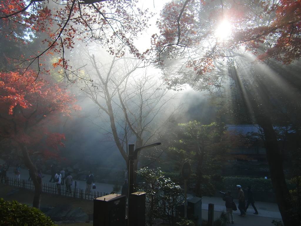 お寺の朝