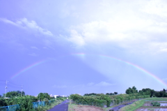 大雨のち虹