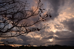 夕暮れ時はさびしそう②