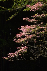 静けさの中で