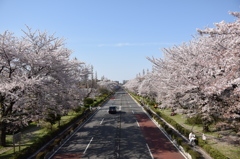 直線道路