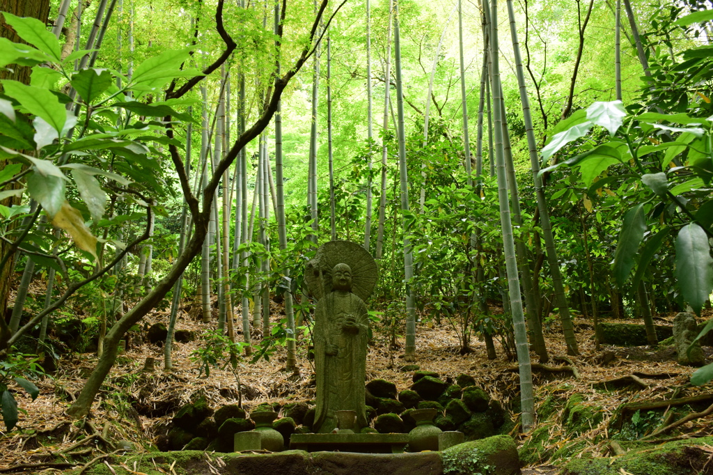 静寂の中で