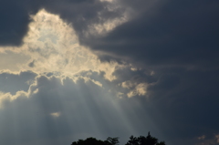 今日の雲2