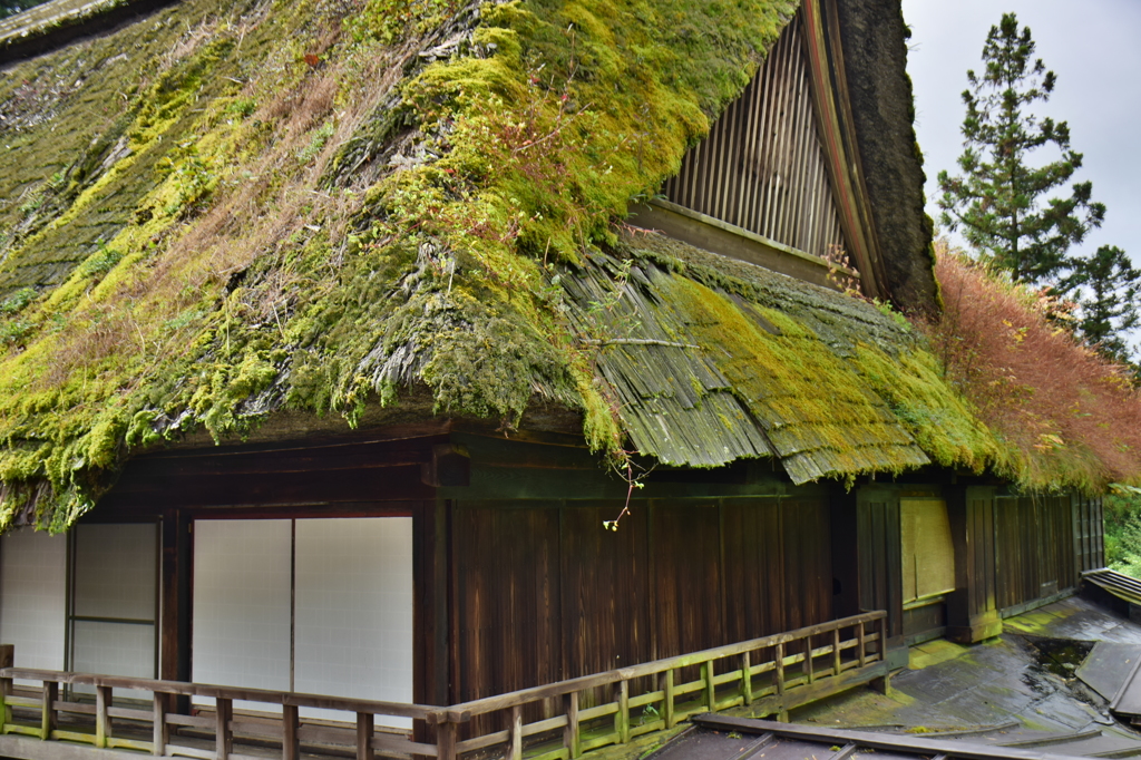 緑の屋根