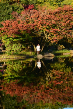 紅葉の中