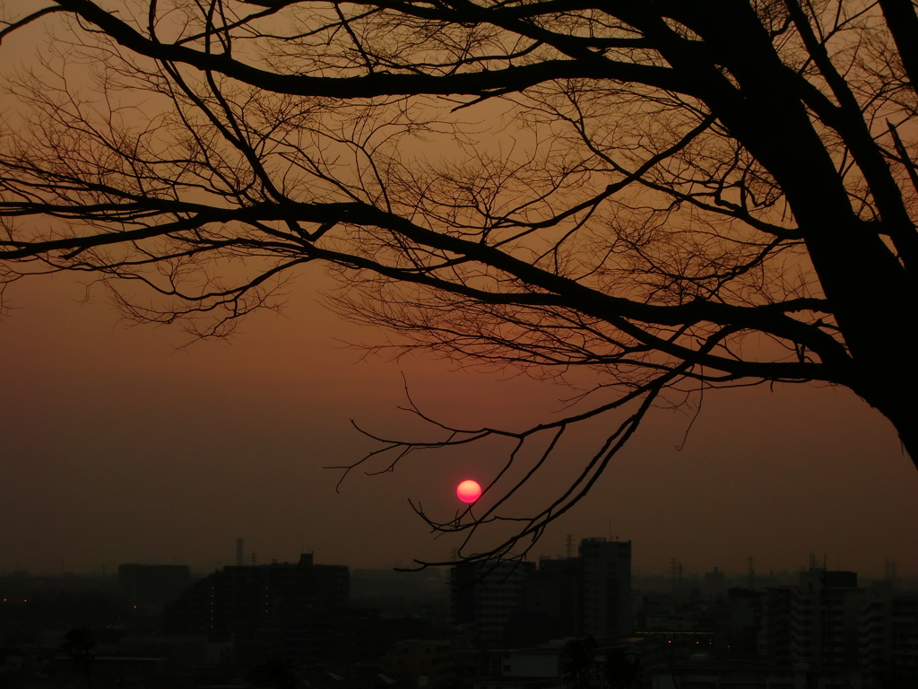 赤かった太陽