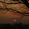 赤かった太陽