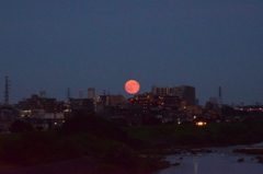 大きな月