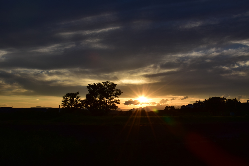 俺の夕日