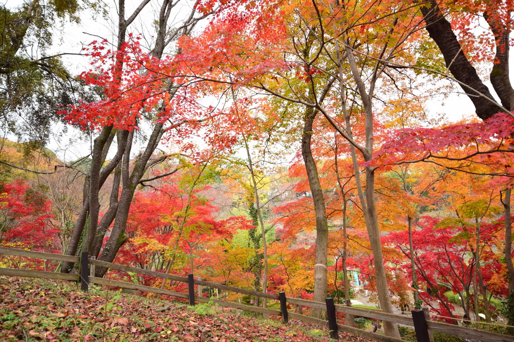 里の公園