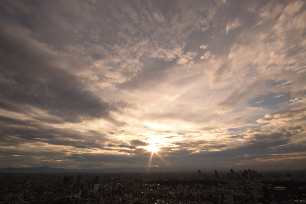 ヒルズの夕日