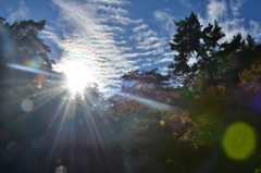 太陽の輪