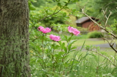 何気なく