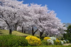 晴天の風景