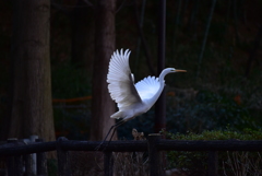 ランディング