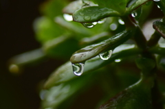 雨の日は・・・