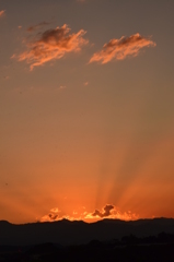 夕陽に照らされて