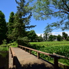 好きな風景