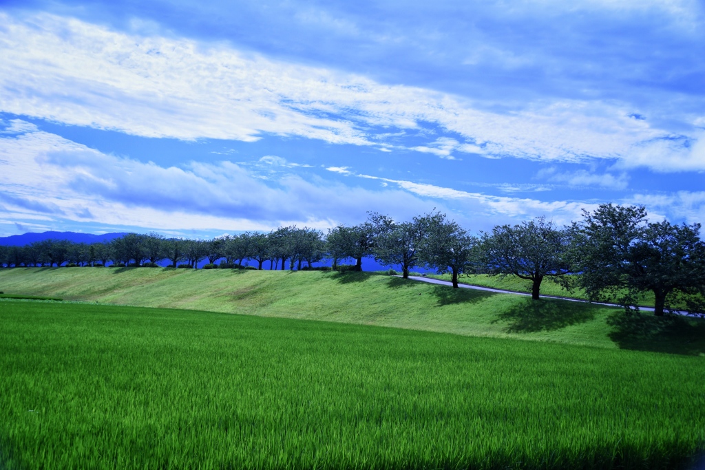 いつもの景色