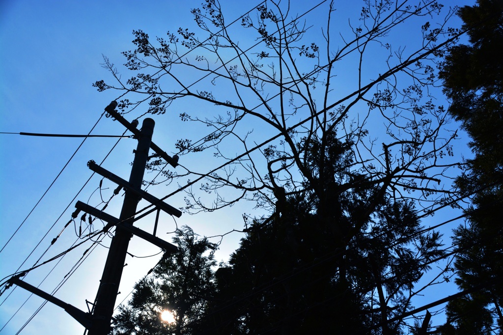 久々の青空