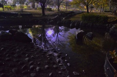公園の池