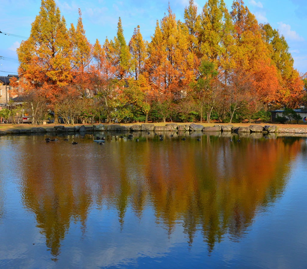 公園