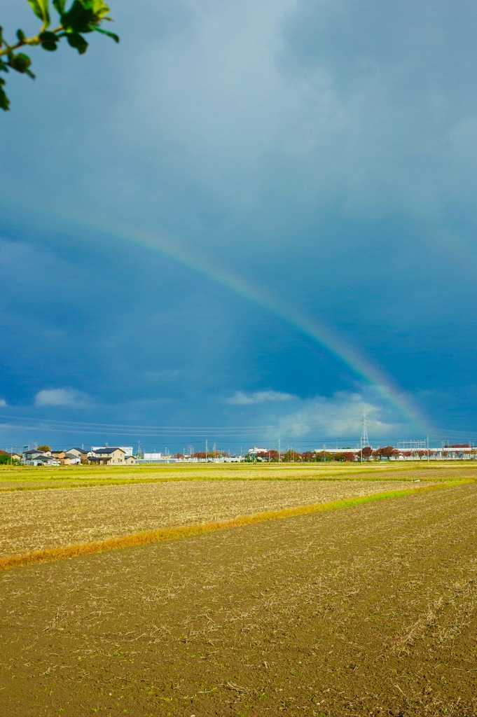 雨あがり