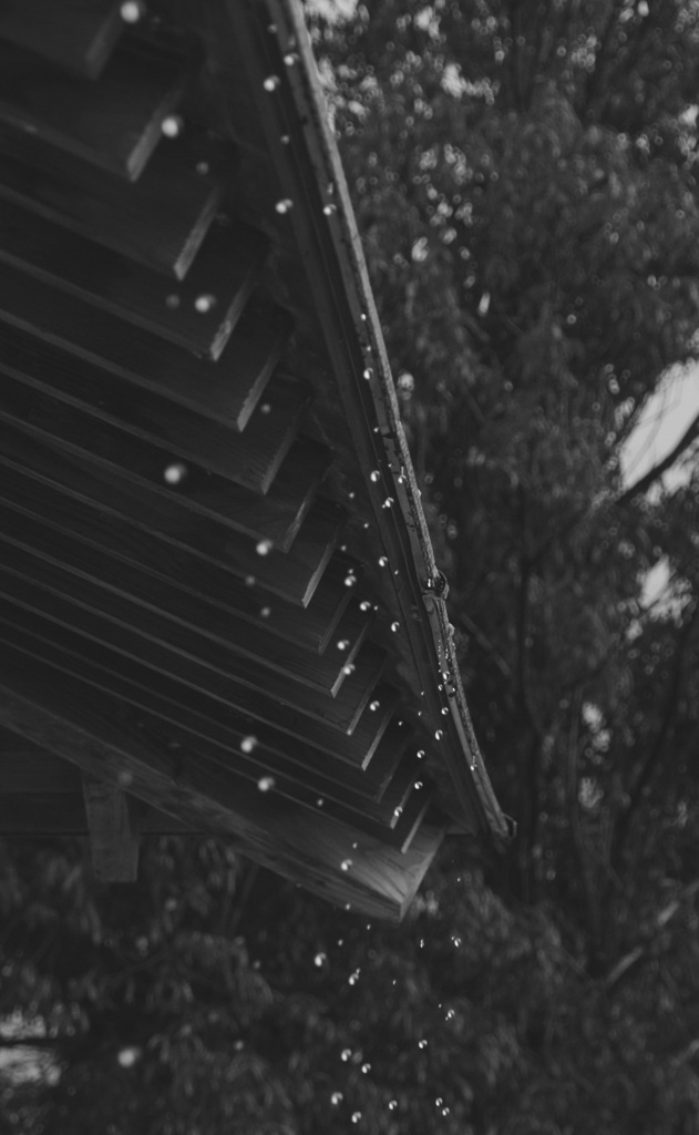 雨宿り