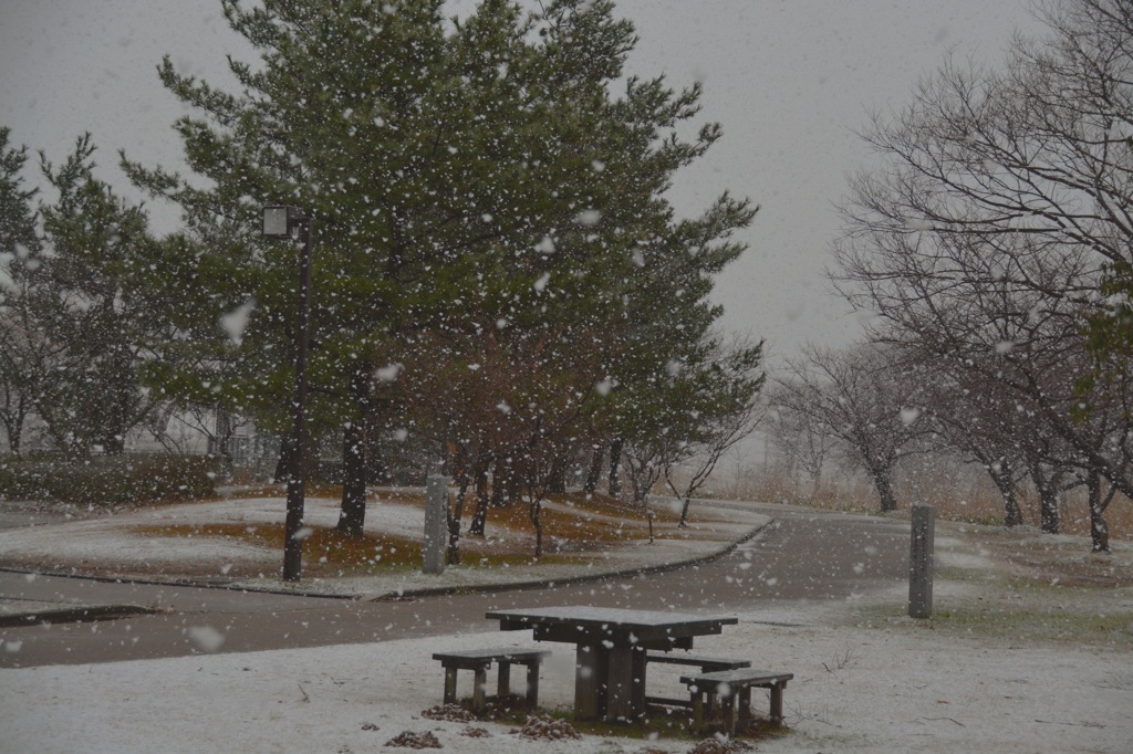 雪の公園