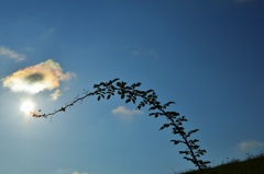 雲を照らすライト