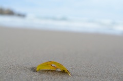 久々の海