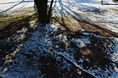光と影と雪