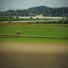 田んぼ道