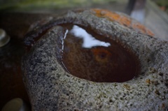 にらまれてる？