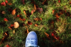 落ち葉と靴