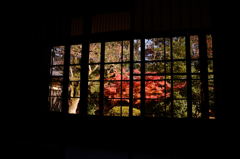 部屋からの紅葉