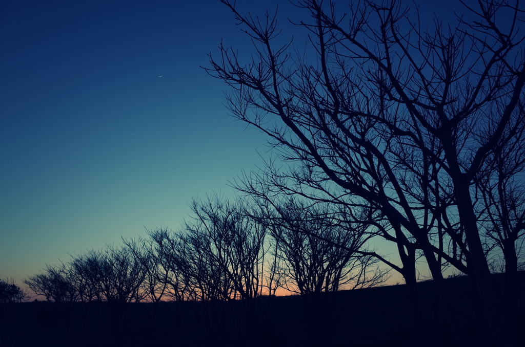 久々の夕焼けチャンス