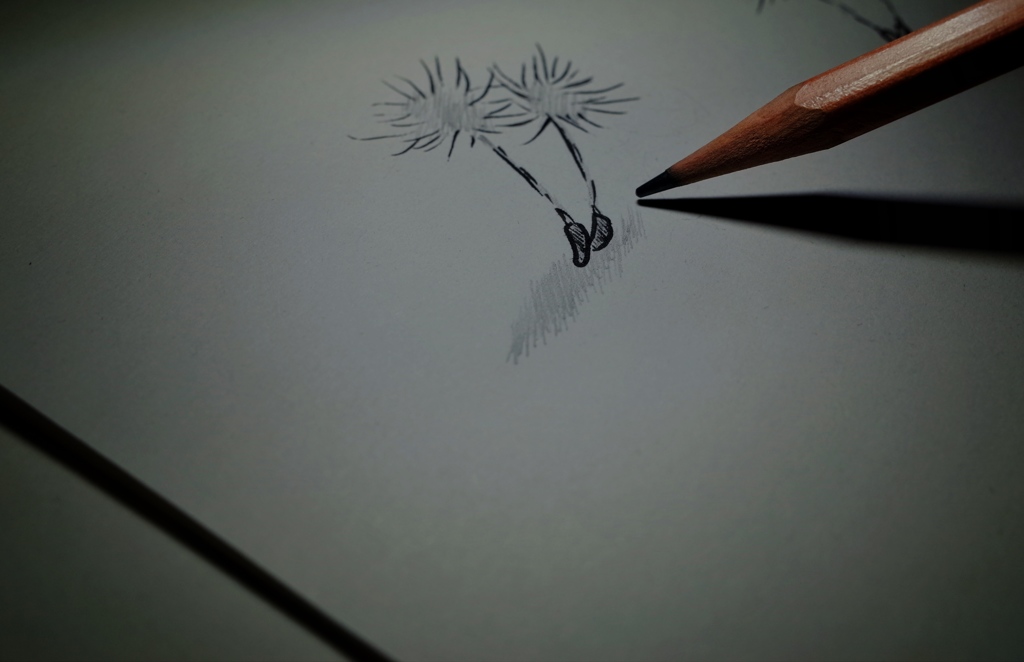 そうだ、タンポポ描いてみよ