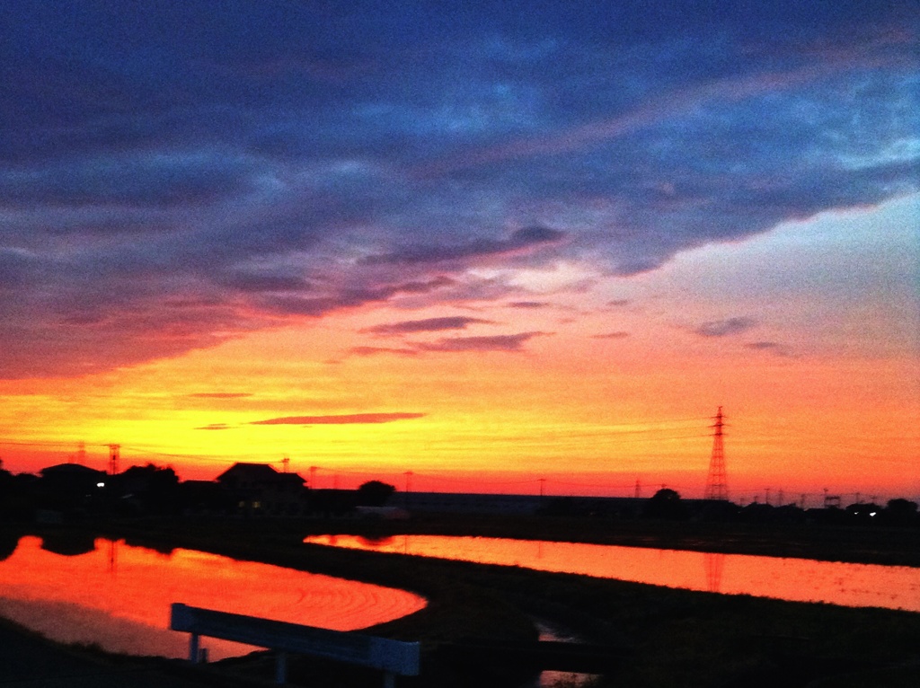 夕焼けの田んぼ