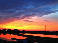 夕焼けの田んぼ