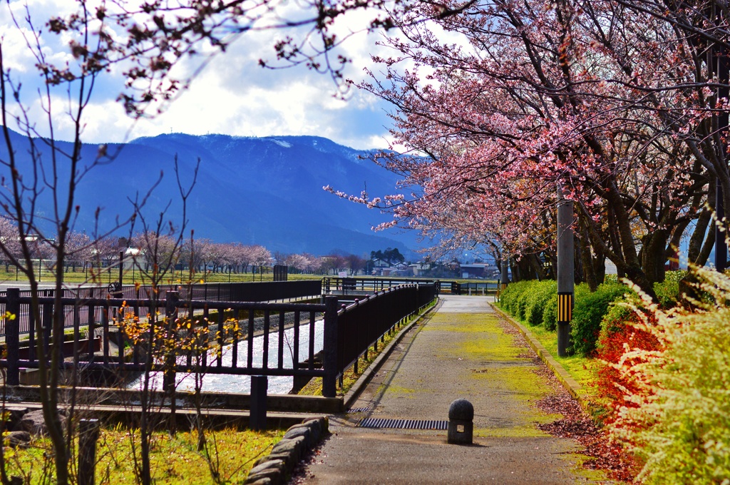 散歩道