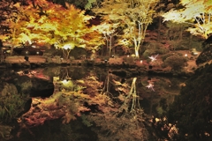 松島　円通院の池