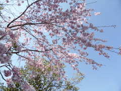 P1000921